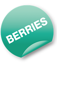 Berries