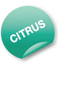 Citrus