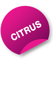 Candy Floss Citrus